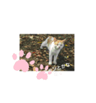 きもち日和（個別スタンプ：5）