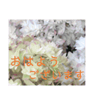 季節のお花スタンプ 紫陽花（個別スタンプ：1）