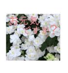 季節のお花スタンプ 紫陽花（個別スタンプ：3）