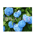 季節のお花スタンプ 紫陽花（個別スタンプ：9）