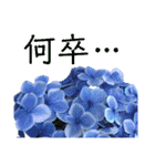 季節のお花スタンプ 紫陽花（個別スタンプ：11）