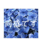 季節のお花スタンプ 紫陽花（個別スタンプ：17）
