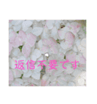 季節のお花スタンプ 紫陽花（個別スタンプ：22）