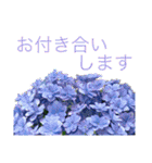 季節のお花スタンプ 紫陽花（個別スタンプ：27）