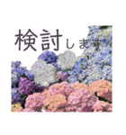 季節のお花スタンプ 紫陽花（個別スタンプ：30）