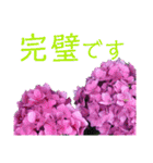 季節のお花スタンプ 紫陽花（個別スタンプ：31）