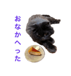 黒猫cocoさん②（個別スタンプ：20）