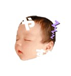 はるたんとゆかいな仲間たち（個別スタンプ：10）