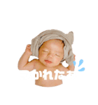 はるたんとゆかいな仲間たち（個別スタンプ：11）