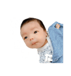 はるたんとゆかいな仲間たち（個別スタンプ：12）