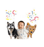 はるたんとゆかいな仲間たち（個別スタンプ：16）