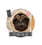 ぶぶすたんぷ！（個別スタンプ：5）