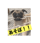 ぶぶすたんぷ！（個別スタンプ：6）