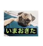 ぶぶすたんぷ！（個別スタンプ：7）