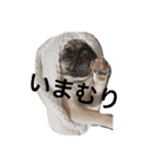 ぶぶすたんぷ！（個別スタンプ：8）