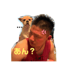 pon pon pom（個別スタンプ：3）