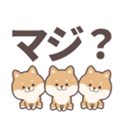 ゆるしばいぬのデカ文字（個別スタンプ：9）