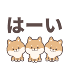 ゆるしばいぬのデカ文字（個別スタンプ：18）