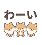 ゆるしばいぬのデカ文字（個別スタンプ：39）