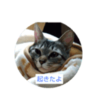ゆずにゃん2（個別スタンプ：2）