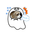 かわいいキラキラワンコスタンプ（個別スタンプ：6）