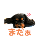 ブラタンキャバリア（個別スタンプ：1）