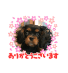 ブラタンキャバリア（個別スタンプ：8）