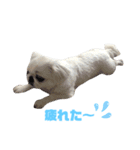 メイさんのマイペースな日常（個別スタンプ：1）