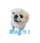メイさんのマイペースな日常（個別スタンプ：2）
