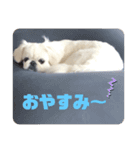メイさんのマイペースな日常（個別スタンプ：3）