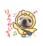 ペキニーズメイさん（個別スタンプ：12）