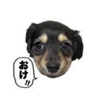 エデルさん。の日常（個別スタンプ：2）