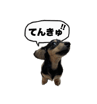 エデルさん。の日常（個別スタンプ：8）