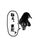 エデルさん。の日常（個別スタンプ：9）