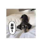 エデルさん。の日常（個別スタンプ：10）