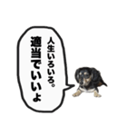 エデルさん。の日常（個別スタンプ：12）