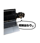 エデルさん。の日常（個別スタンプ：16）