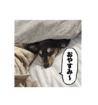 エデルさん。の日常（個別スタンプ：17）