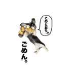 エデルさん。の日常（個別スタンプ：19）
