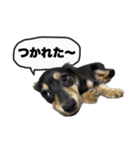 エデルさん。の日常（個別スタンプ：23）