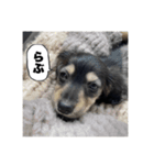 エデルさん。の日常（個別スタンプ：25）
