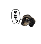 エデルさん。の日常（個別スタンプ：28）