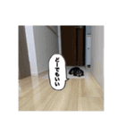 エデルさん。の日常（個別スタンプ：29）