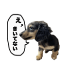 エデルさん。の日常（個別スタンプ：34）