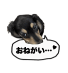 エデルさん。の日常（個別スタンプ：35）