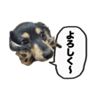 エデルさん。の日常（個別スタンプ：36）