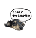 エデルさん。の日常（個別スタンプ：40）