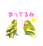 うちのインコさん達2（Ouchinoinko2）（個別スタンプ：1）