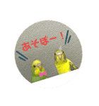 うちのインコさん達2（Ouchinoinko2）（個別スタンプ：14）