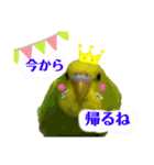 うちのインコさん達2（Ouchinoinko2）（個別スタンプ：15）